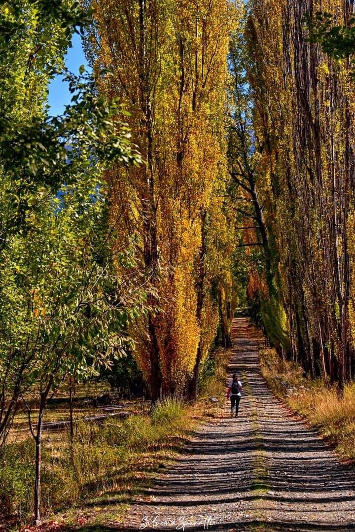 Fotografía otoño Patagonia