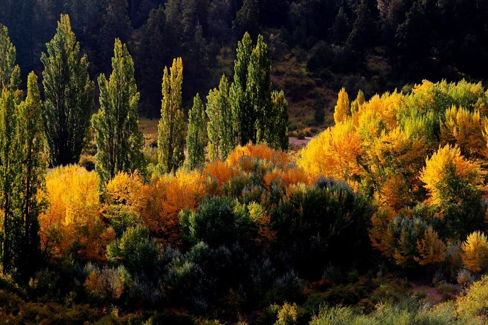 Otoño en El Bolsón – Nobleza Andina
