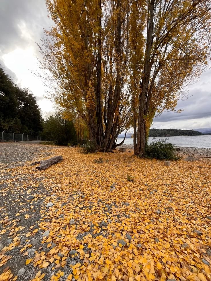 Ríos y lagos El Bolsón