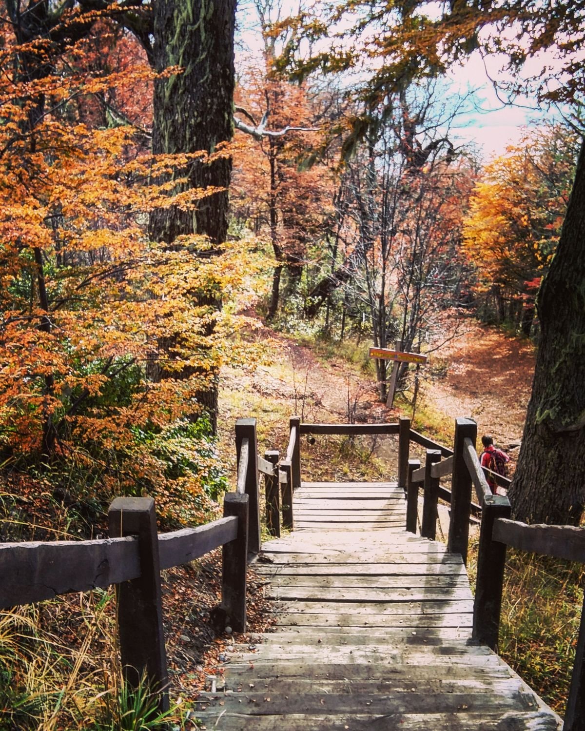 Trekking otoño El Bolsón